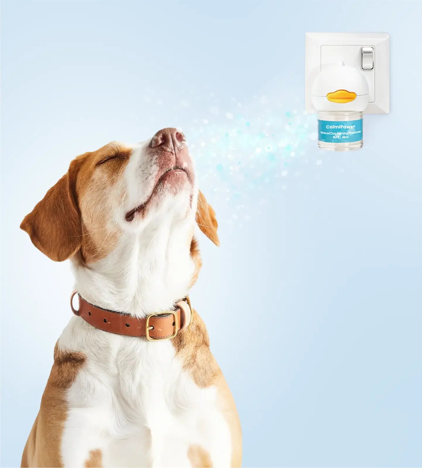 Dog Calm Diffuser 2.0
