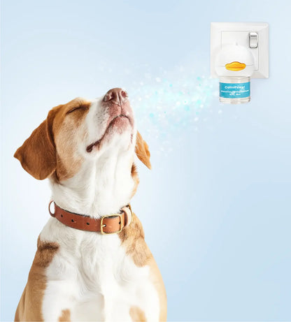 Dog Calm Diffuser 2.0